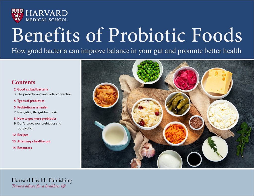 %focus keyword% Probiotic Supplements